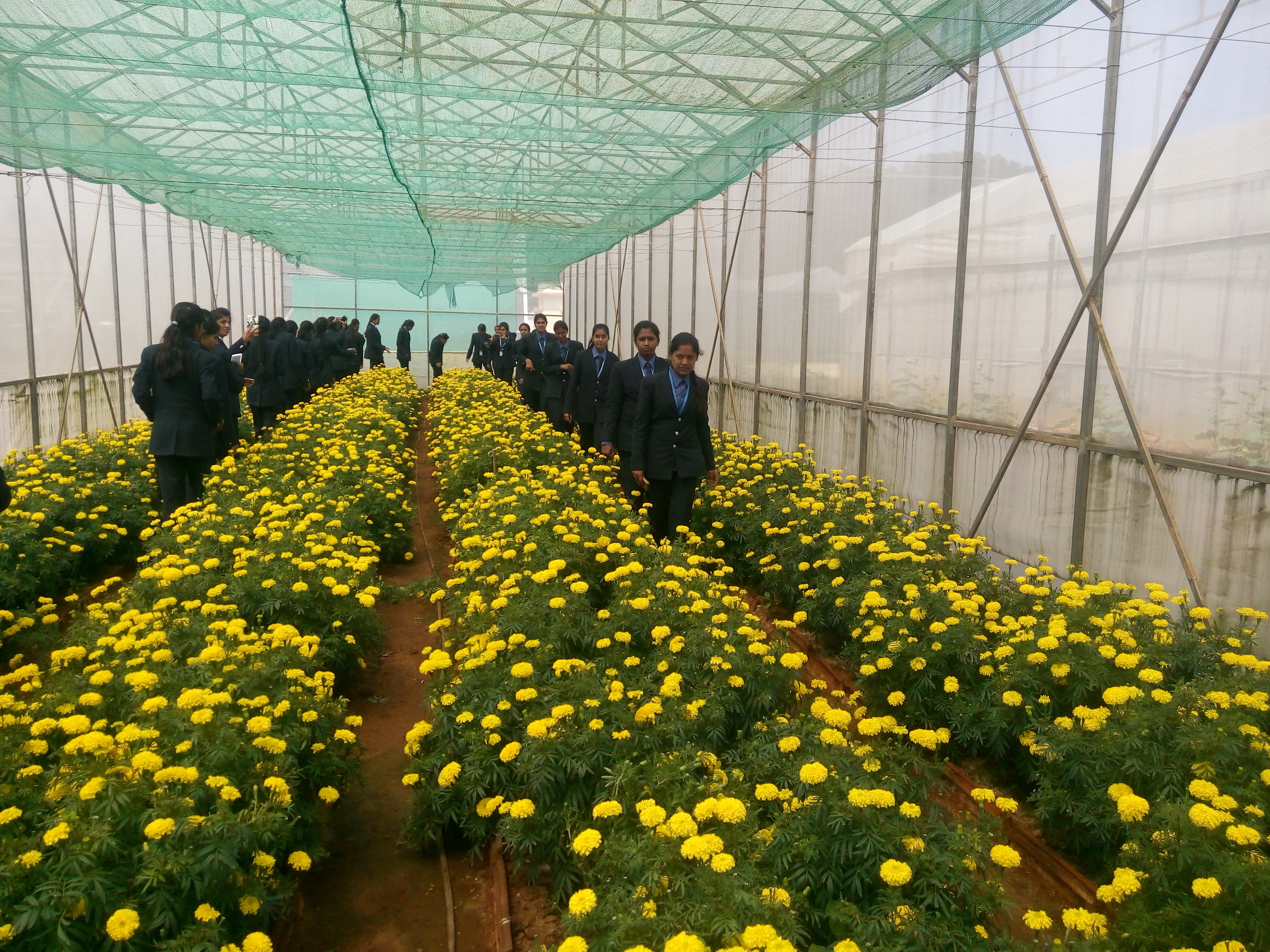 BGS Science Academy Chikkaballapur